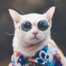 tate's profile picture