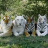 Фото профиля Edwin CPacheco