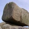 CursedRock 的头像