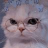 Samo's profile picture