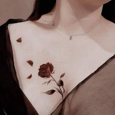 امـــل الاحمدي's profile picture