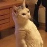 Profilbild von di