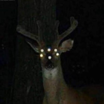 prezoh's profile picture