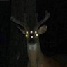 prezoh's profile picture
