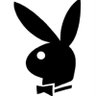 ail daf's profile picture