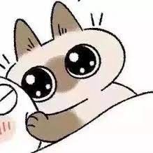 Gensisterlove's profile picture