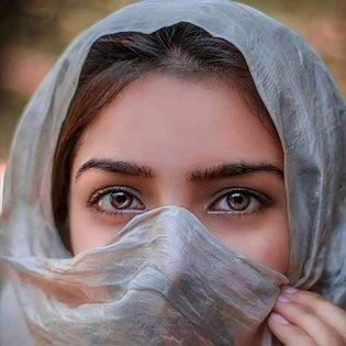 bnt_zayed_n's profile picture