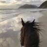 البندري🐎..'s profile picture