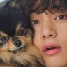 lazie⁷'s profile picture