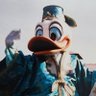 あひる profil fotoğrafı