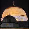 Profilbild von أبو عبادة