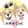 Profilbild von みやころ🐝🐾