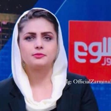 زرمینه محمدی's profile picture
