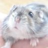 りえ's profile picture