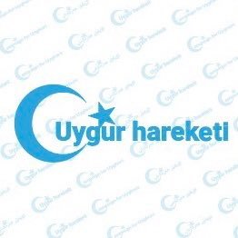 Uygur Hareketi's profile picture
