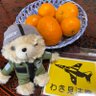 薄荷(名古屋のおばはん) profil fotoğrafı