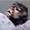 Monkwe Makgato's profile picture