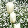 Фото профиля allwaylovelove