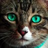 Андрей profil fotoğrafı