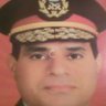 Amal Abdelghaffar's profile picture