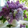 Фото профиля Favorite Sister