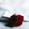 Profilbild von العمر لحظه