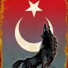 Recep's profile picture
