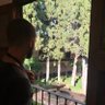 Rubén Córdoba's profile picture