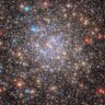 Фото профиля teepiddy