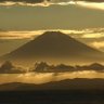 仏様の宿り 的头像