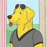 Brian profil fotoğrafı