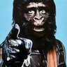 Mitchell Smilie's profile picture
