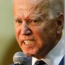 Donald J Biden 的头像