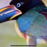 Martine F profil fotoğrafı