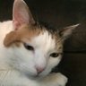 Zen profil fotoğrafı