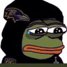 Sad Ravens fan's profile picture