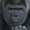 Cronos07's profile picture