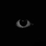 Huguini orreguini's profile picture