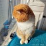 Mars 看世界 profil fotoğrafı