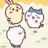 セツボウ@雑多's profile picture