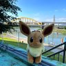 Let’s GO 小伊布 的头像