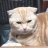 Profilbild von coco neco