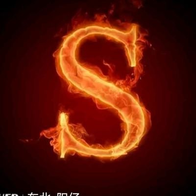 中年熊主风暴's profile picture