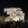 オタク君's profile picture