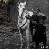 عبدالله profil fotoğrafı