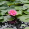 Фото профиля はまみゆ