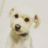 Profilbild von camapa2