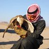 محمد القشيري Mohammed Qushayri's profile picture