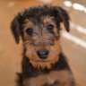 Skippy Stone - Rollin on's profile picture