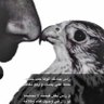 Abu Mansour 的头像